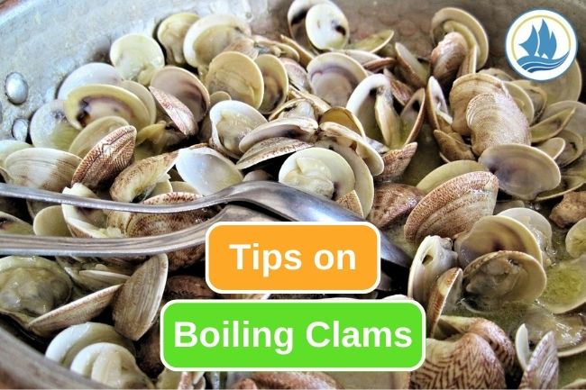 Follow These Steps To Boil Clams Properly